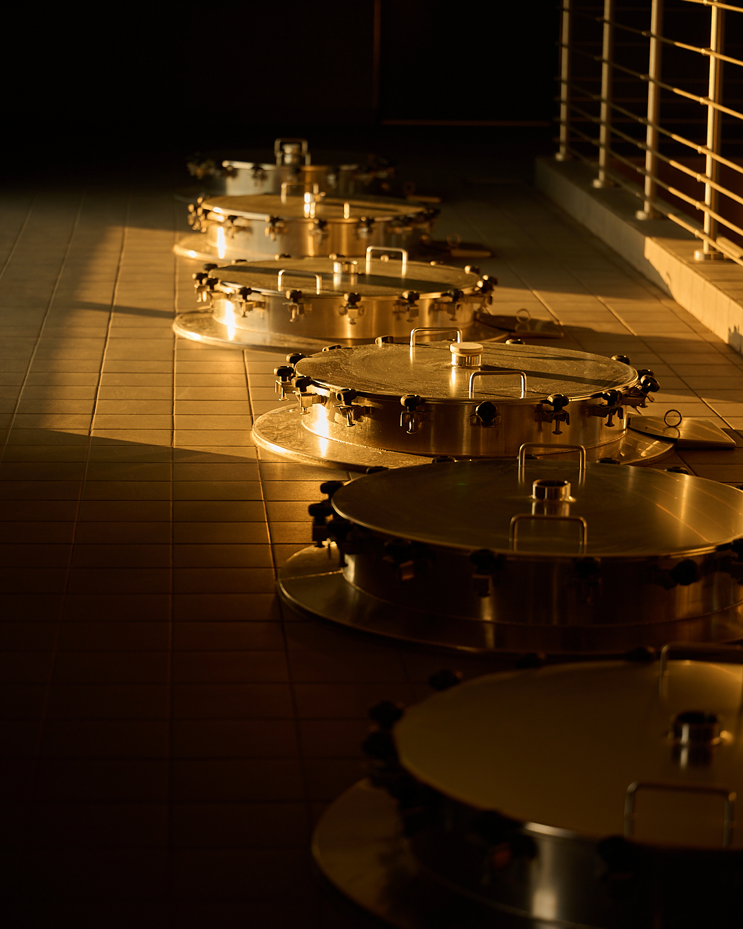 Avril 2025_Croizille_Cuvier_Soleil (1)